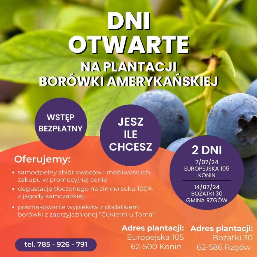 Dni Otwarte na Plantacji Borówki Amerykańskiej